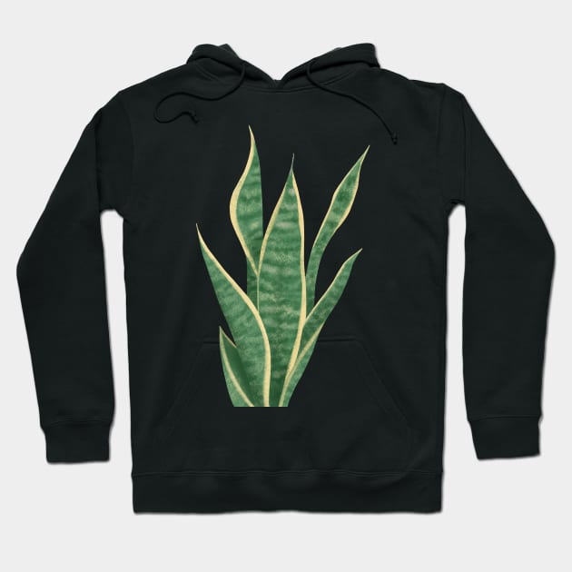 Snake Plant Sansevieria Dracaena House Plant Painting Trifasciata Hoodie by ChloesNook